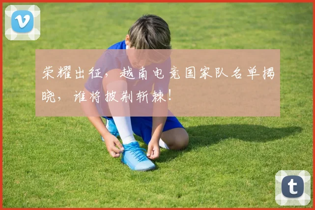 荣耀出征,越南电竞国家队名单揭晓,谁将披荆斩棘!