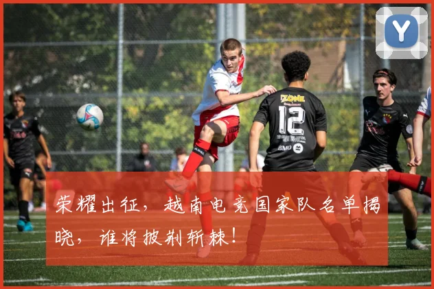 荣耀出征,越南电竞国家队名单揭晓,谁将披荆斩棘!
